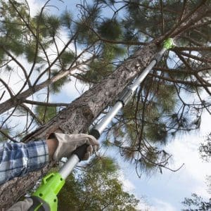 40V Višinska verižna žaga 20cm G40PSF